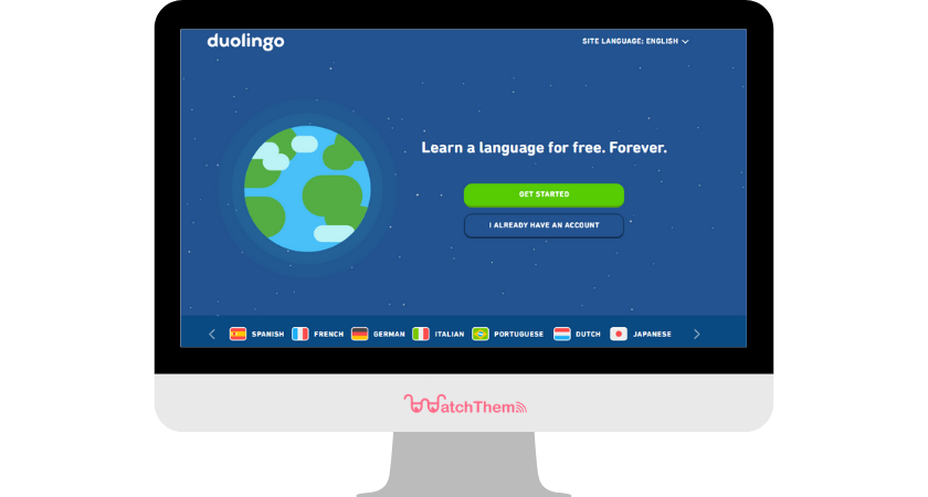 Duolingo Website Layout