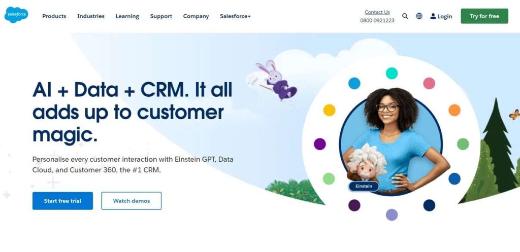 Salesforce Homepage