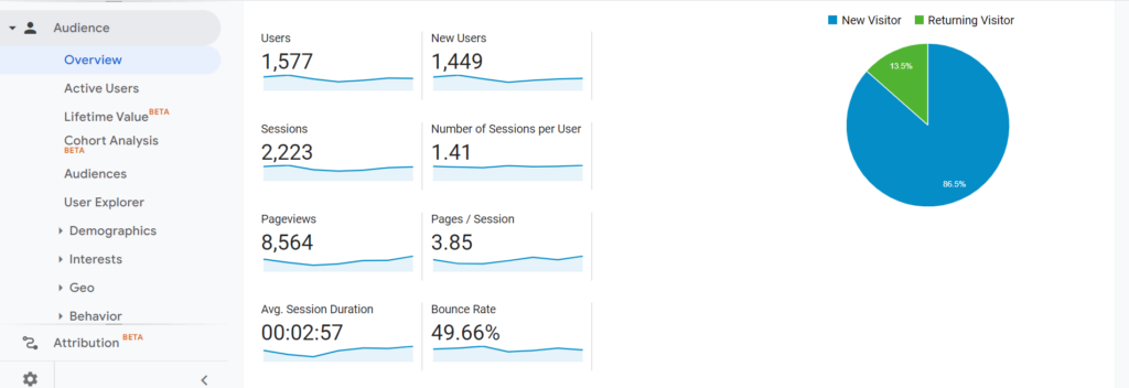 audience overview report