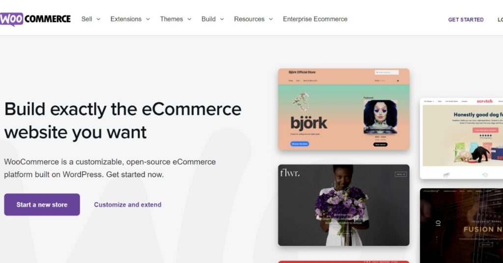 Woocommerce: ECommerce Tool for Website Building