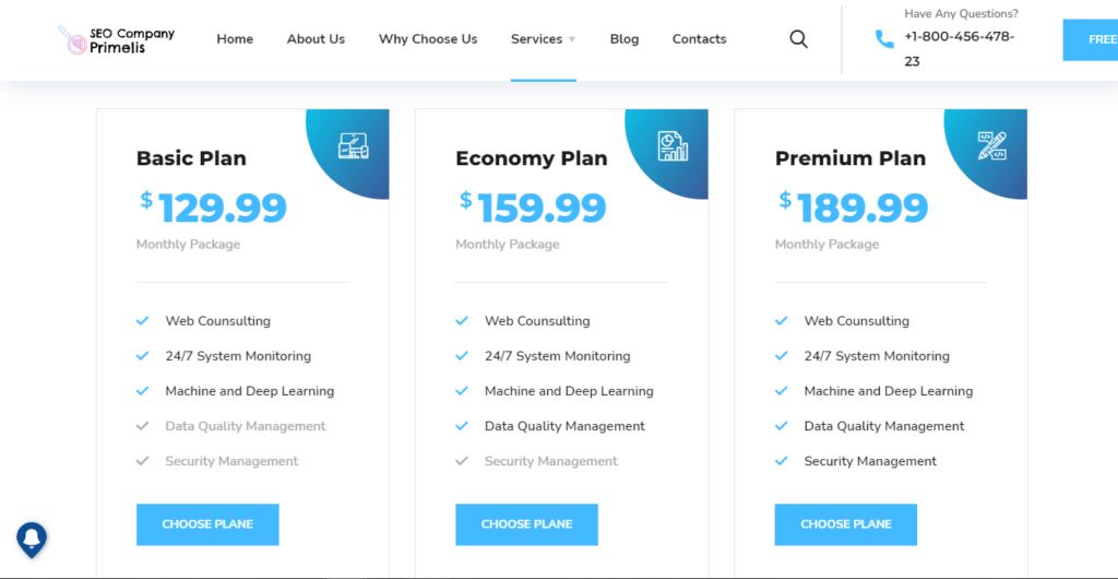 SEO company Primelis Pricing