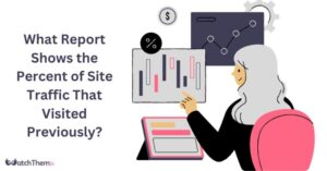 What Report Shows the Percent of Site Traffic That Visited Previously Best 2024 Guide