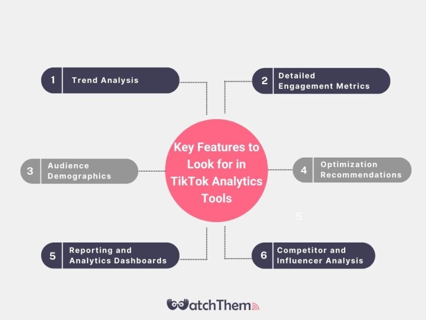 What to look for in Tiktok analytics tools